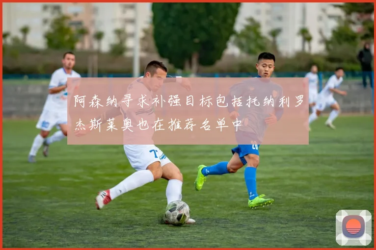 阿森纳寻求补强目标包括托纳利罗杰斯莱奥也在推荐名单中