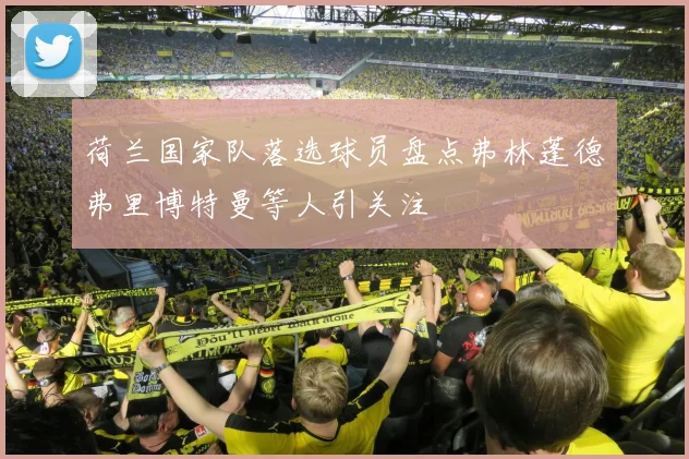 荷兰国家队落选球员盘点弗林蓬德弗里博特曼等人引关注